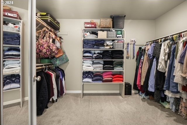 walk in closet with light colored carpet