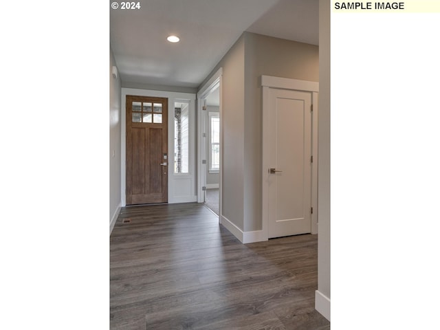 entryway with dark hardwood / wood-style flooring