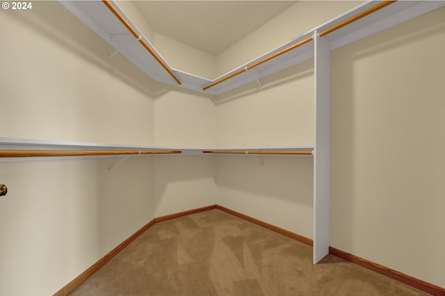 walk in closet with light carpet