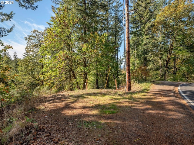 14180 NW Germantown Rd, Portland OR, 97231 land for sale