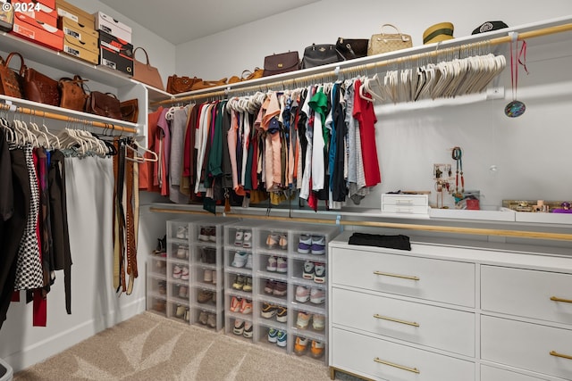 spacious closet with carpet floors