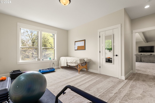 exercise area with light colored carpet