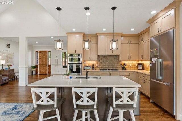 kitchen with appliances with stainless steel finishes, sink, dark hardwood / wood-style flooring, and an island with sink