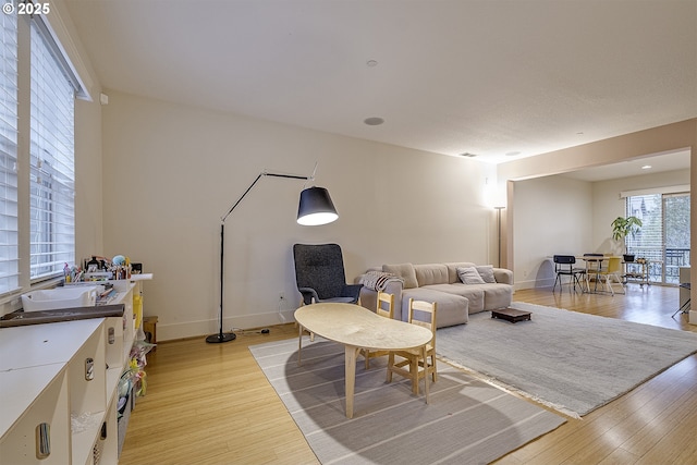 living room with light hardwood / wood-style flooring