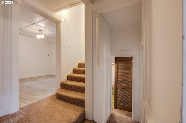 staircase featuring light carpet