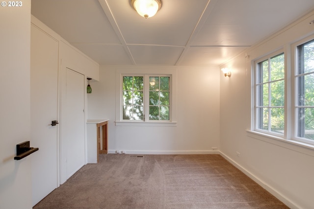 spare room with carpet flooring