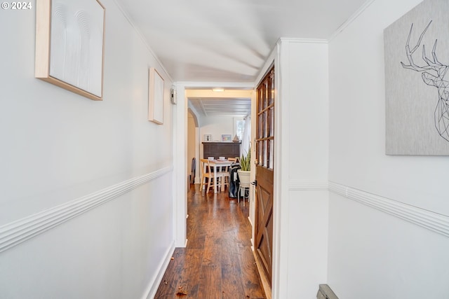 corridor with crown molding and dark wood-type flooring