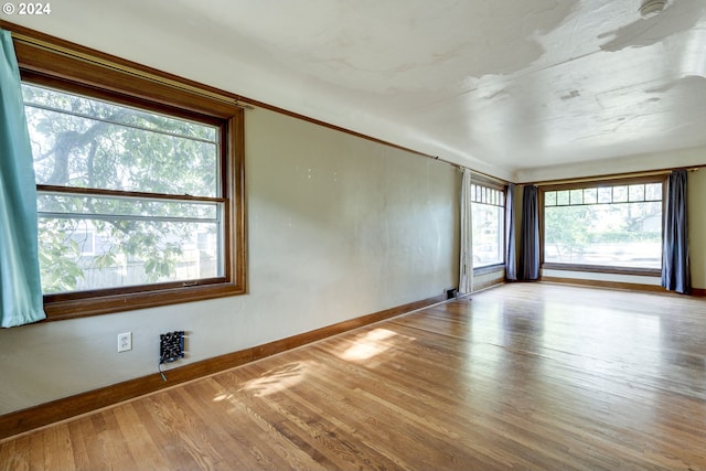 unfurnished room with light hardwood / wood-style flooring and plenty of natural light