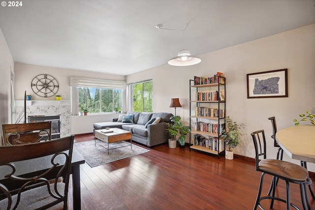 living room featuring a fireplace and dark wood-type flooring