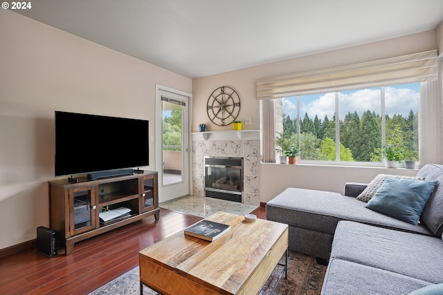 living room featuring hardwood / wood-style flooring, a premium fireplace, and a wealth of natural light