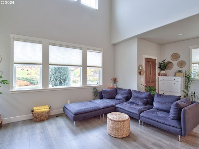 living room with light wood-type flooring