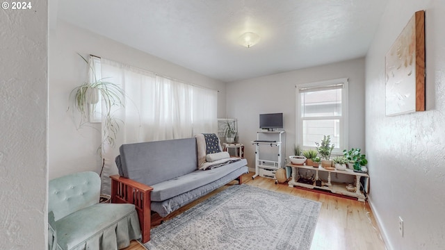 sitting room with hardwood / wood-style floors