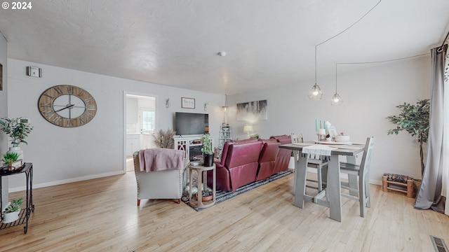 living room featuring light hardwood / wood-style floors