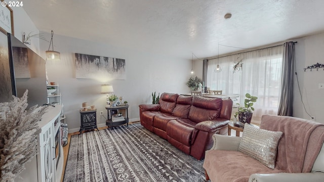 living room with dark hardwood / wood-style floors