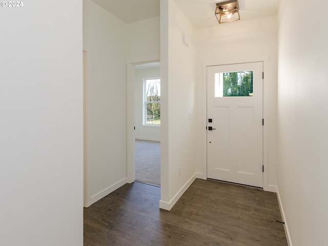 entryway with plenty of natural light and dark hardwood / wood-style floors