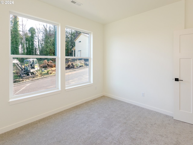 spare room featuring carpet floors and a wealth of natural light