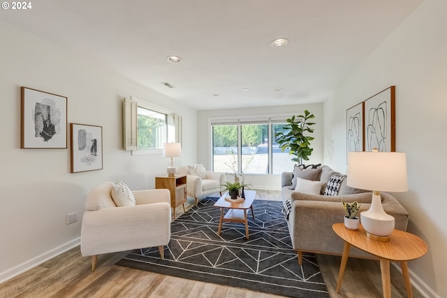 living room featuring dark hardwood / wood-style floors