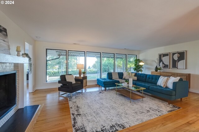 living room with a fireplace and light hardwood / wood-style floors