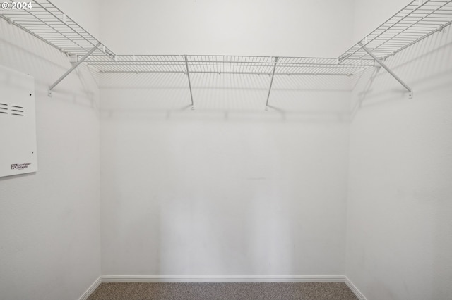 walk in closet with carpet flooring