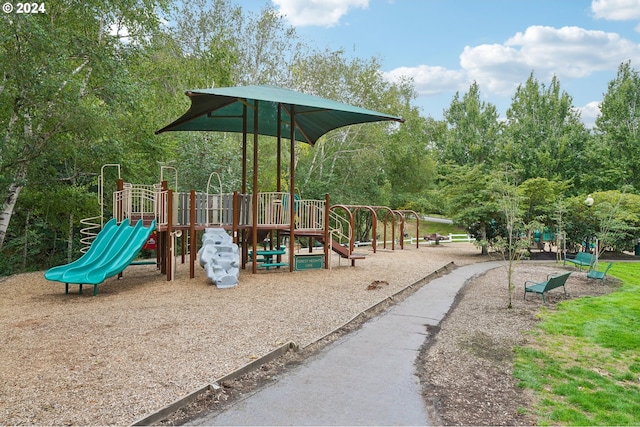 view of jungle gym