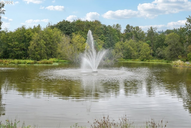 view of water feature