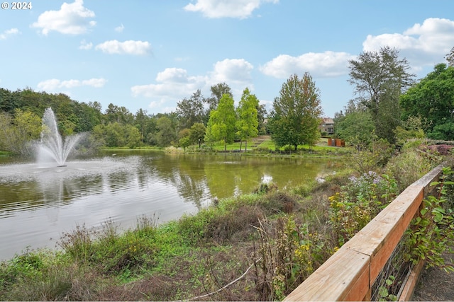 property view of water