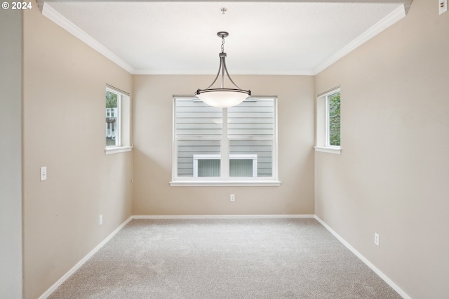 spare room featuring carpet flooring, a wealth of natural light, and crown molding