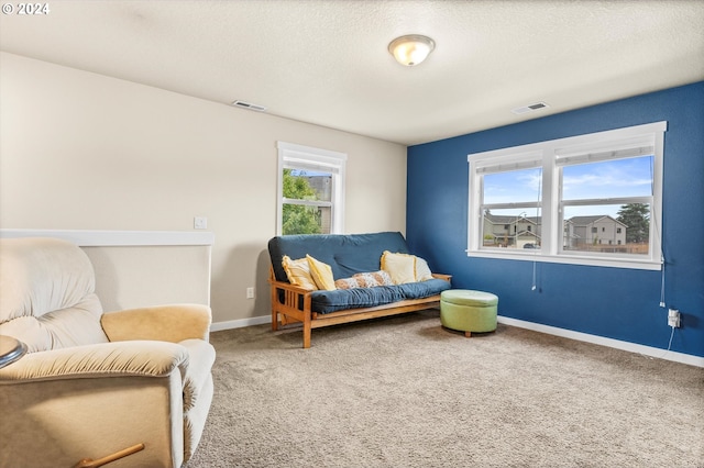 sitting room with carpet floors