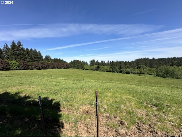 view of yard with a rural view