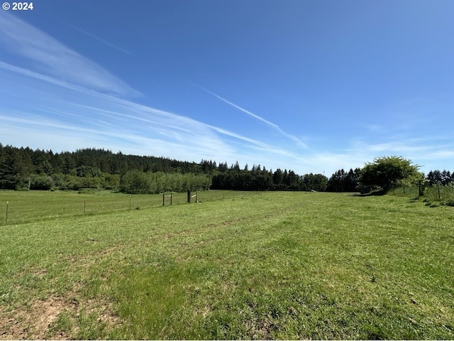 view of yard featuring a rural view