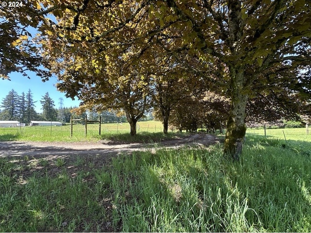 view of local wilderness featuring a rural view