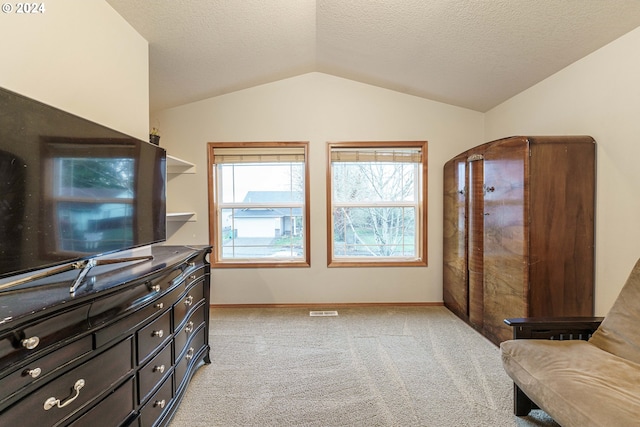 interior space with a textured ceiling and vaulted ceiling