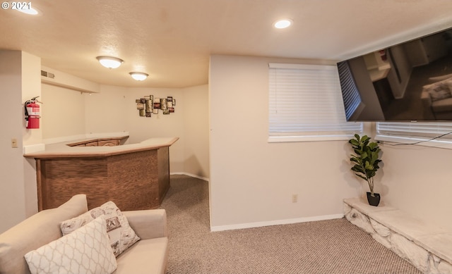 interior space with carpet floors