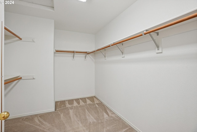 walk in closet with light colored carpet