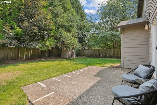 view of yard with a patio area and a storage unit