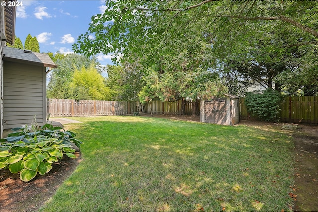 view of yard featuring a storage unit