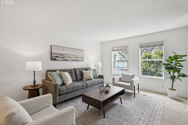 living room with carpet flooring