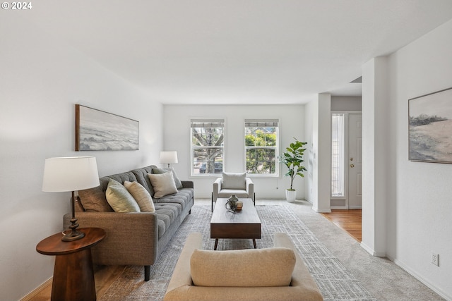 living room featuring light wood-type flooring