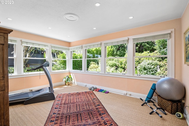 workout room featuring plenty of natural light, carpet flooring, and a textured ceiling