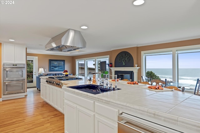 kitchen featuring a healthy amount of sunlight, stainless steel appliances, and range hood