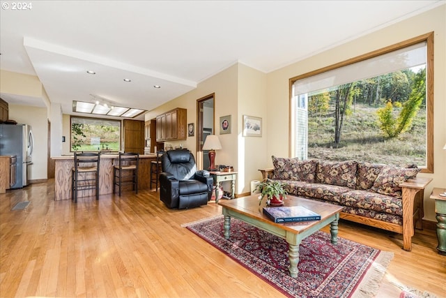 living room with light hardwood / wood-style floors and crown molding