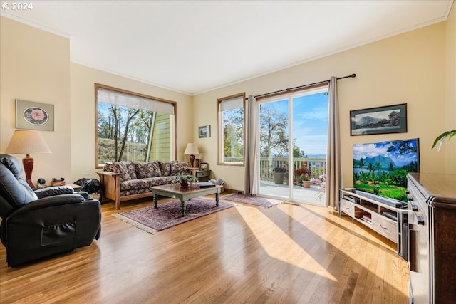 living room featuring crown molding, light wood-type flooring, and a healthy amount of sunlight