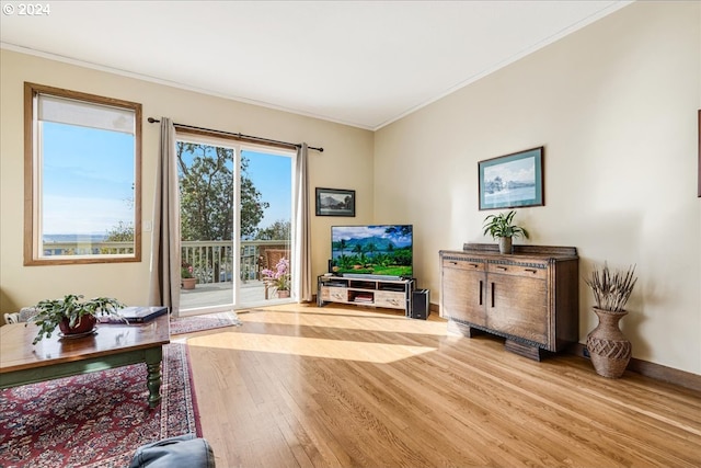 living room featuring crown molding and light hardwood / wood-style flooring