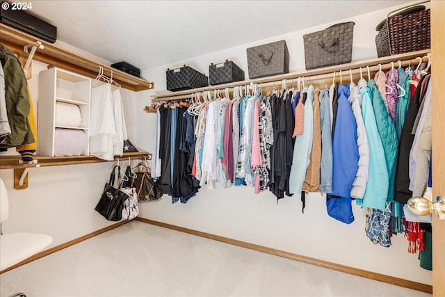 walk in closet featuring carpet floors