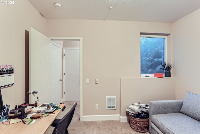 view of carpeted home office