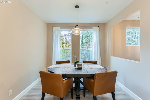 dining room with light hardwood / wood-style floors