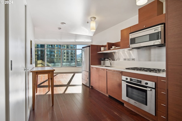 kitchen featuring sink, dark hardwood / wood-style floors, and appliances with stainless steel finishes