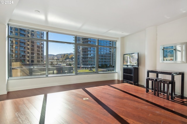 interior space featuring hardwood / wood-style floors