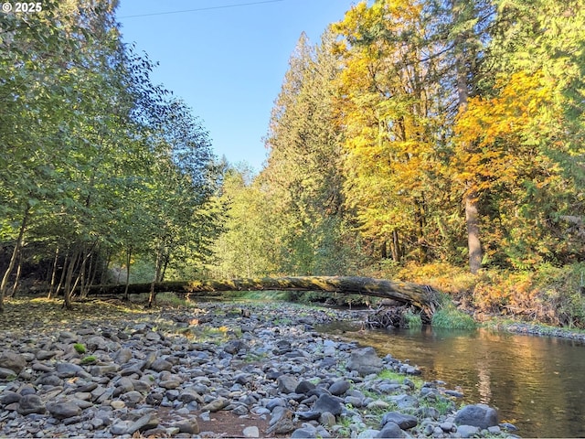 property view of water featuring a view of trees