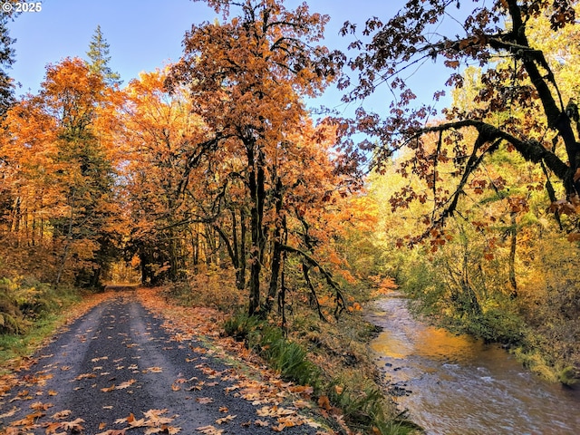 view of road featuring a view of trees